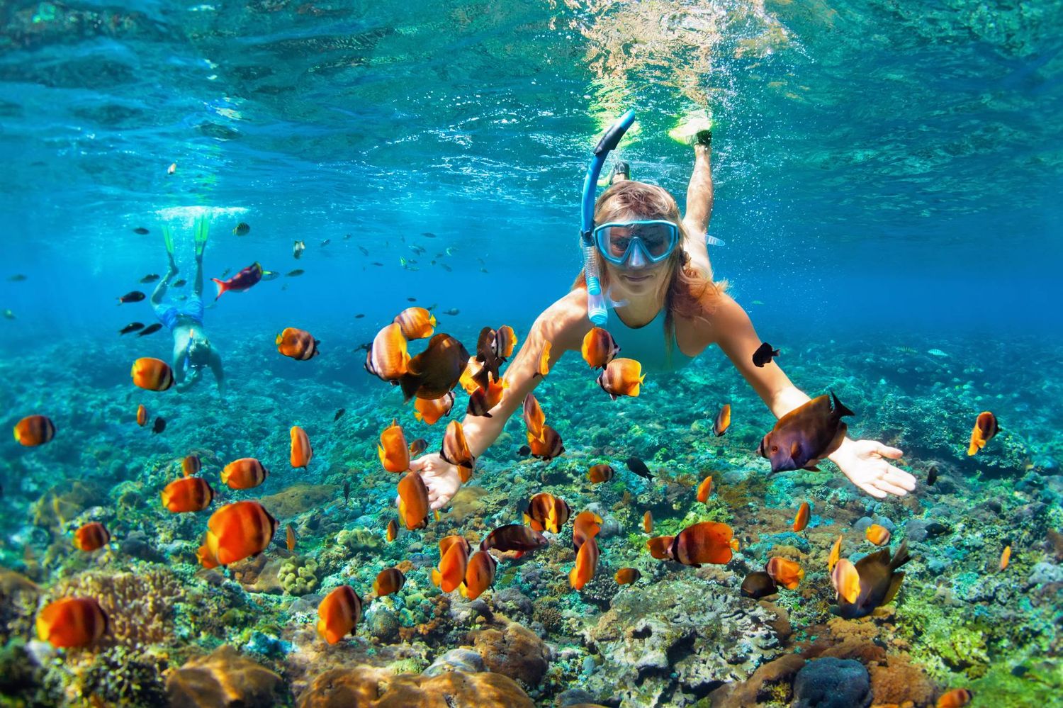 Snorkel