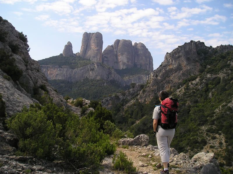 Els Estels del Sud