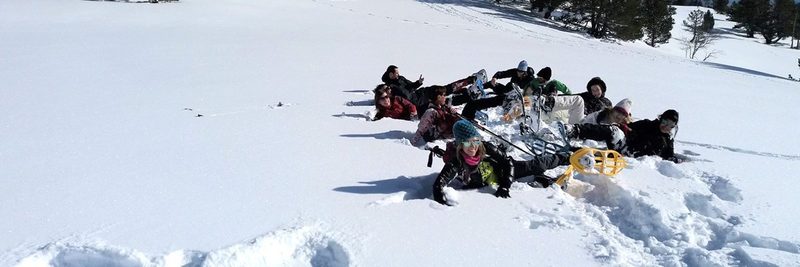 Tour privado de raquetas de nieve en los Pirineos desde Barcelona