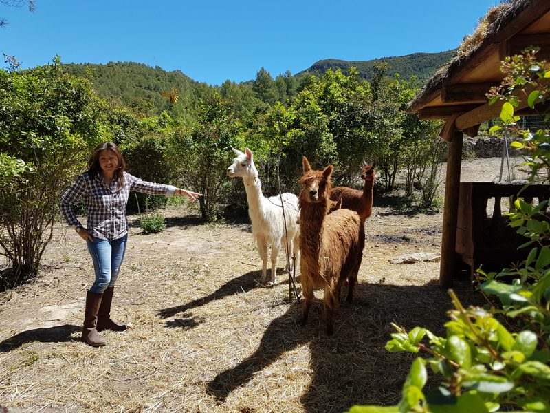 Tour privado de cata de vinos ecológicos en el Penedès