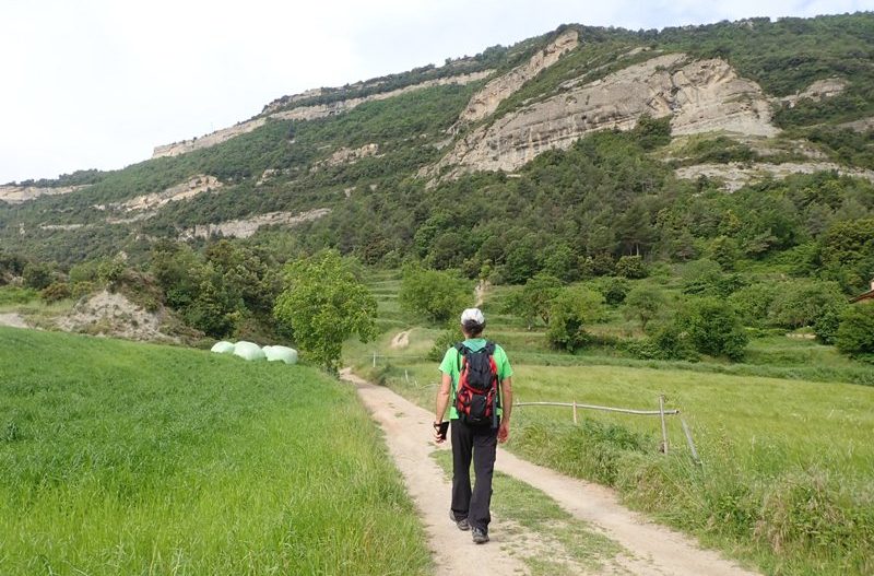 Excursión a los miradores de vértigo y Castillo de la Sauva Negra en Centelles